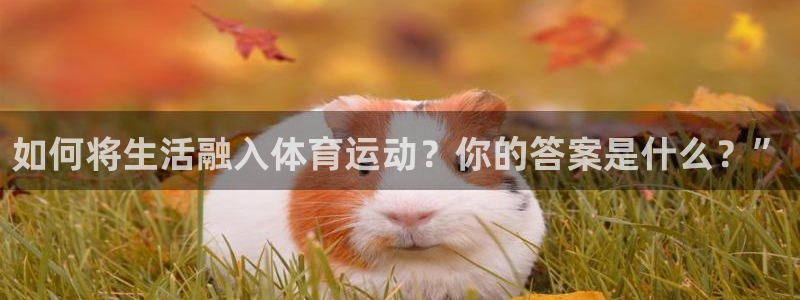 77体育：如何将生活融入体育运动？你的答案是什么？”