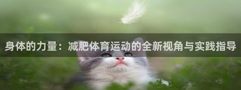77体育官网：身体的力量：减肥体育运动的全新视角与实践指导
