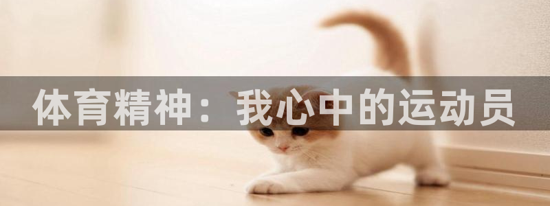 77体育：体育精神：我心中的运动员