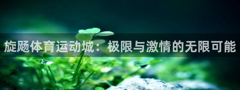 77体育app下载官网：旋飏体育运动城：极限与激情的无限可能