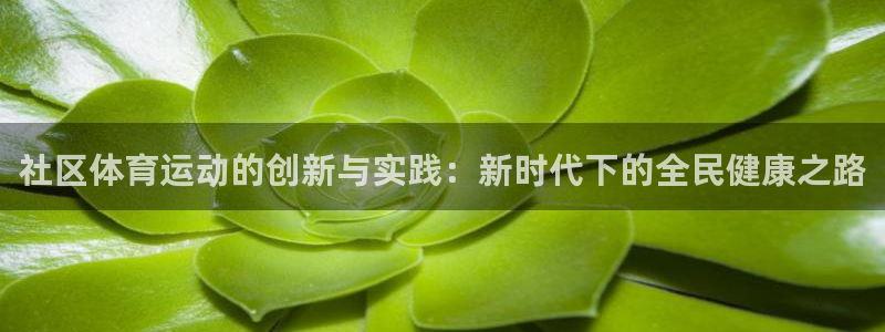 77体育：社区体育运动的创新与实践：新时代下的全民健康之路