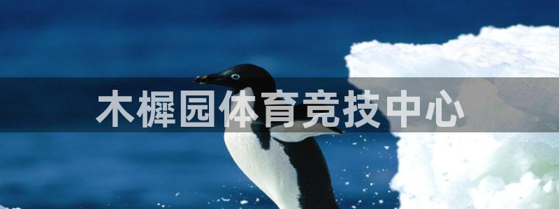 77体育：木樨园体育竞技中心